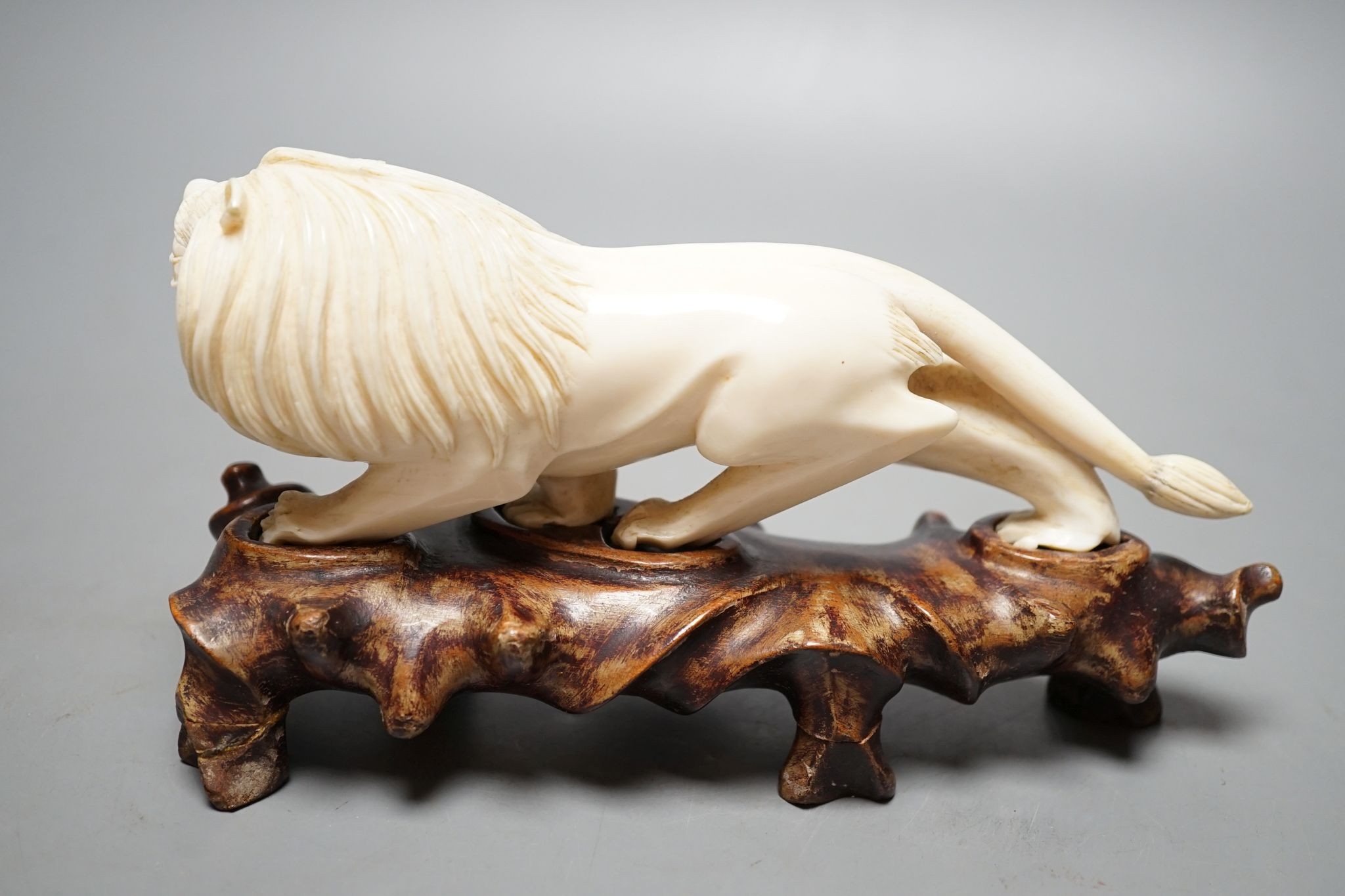 A Chinese ivory figure of a lion, on wooden stand, early 20th century, stand 20 cms wide.